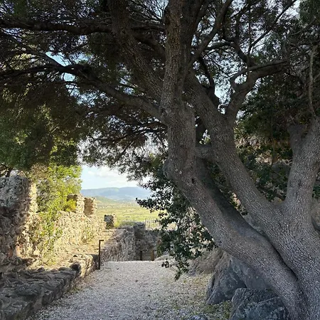 Casa Belvedere פוסאדה